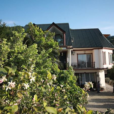 Mount Villa Kvariati Exterior photo